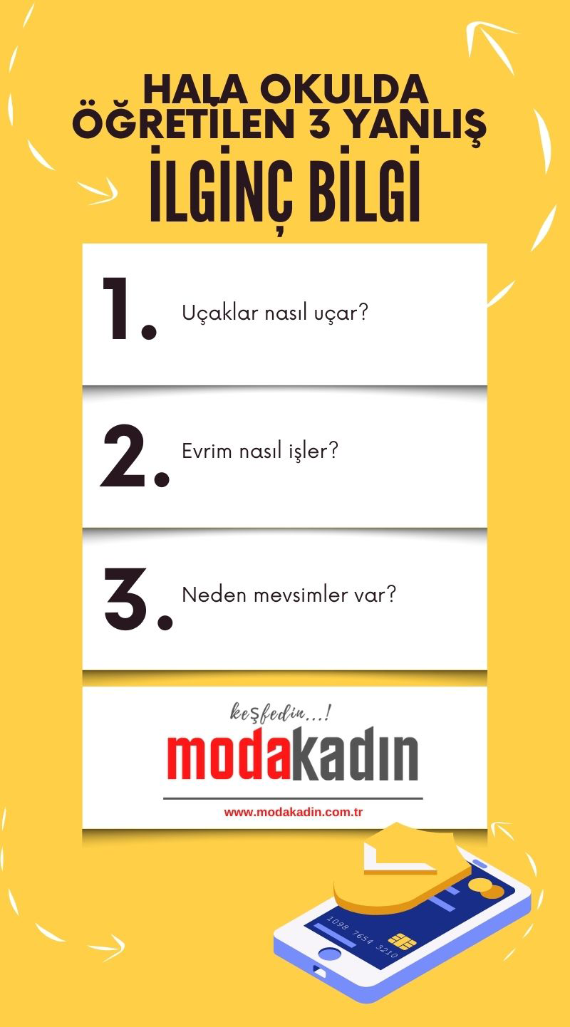 kadin-moda-infografik